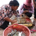 $5 Seafood Smorgasbord in Kep, Cambodia